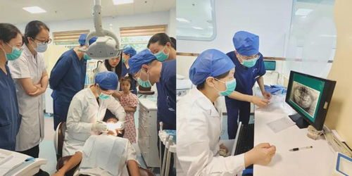 党建业务融合 提升医疗水平丨邯郸市口腔医院与北京大学口腔医院开展交流共建活动