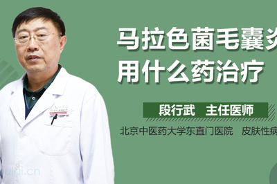 马拉色菌毛囊炎 B