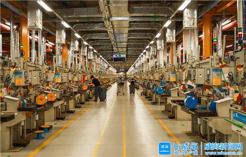 闫剑波调研推动稳外贸稳外资工作