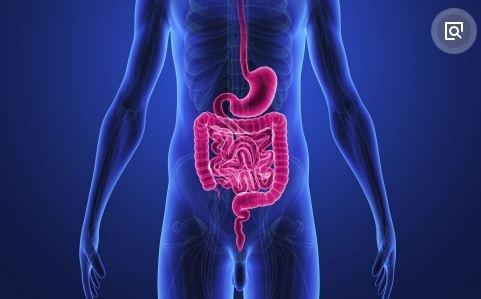 患上直肠癌,身体可能有4个 首发 症状,仔细觉察下,别忽视 肿瘤 淋巴 网易订阅