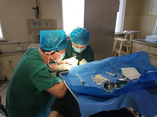 扶贫路上的北大医院人丨我院赴山西省国家医疗队巡回医疗工作圆满完成