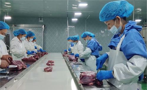 安顺 农 墨重彩绘 丰 景 乡村振兴谱新歌