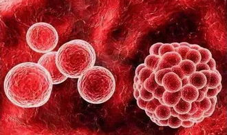 博雅控股集团 细胞治疗技术引领再生医学新突破